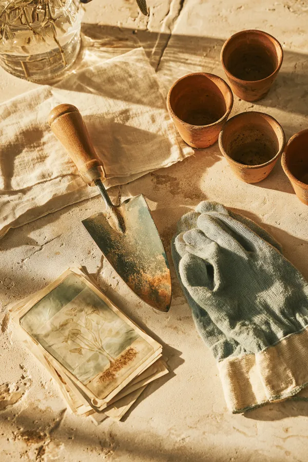 Gardening trowel, cotton gloves, seed packets and terracotta pots arranged on stone, illustrating the Tripoint Lending glossary of loan basics